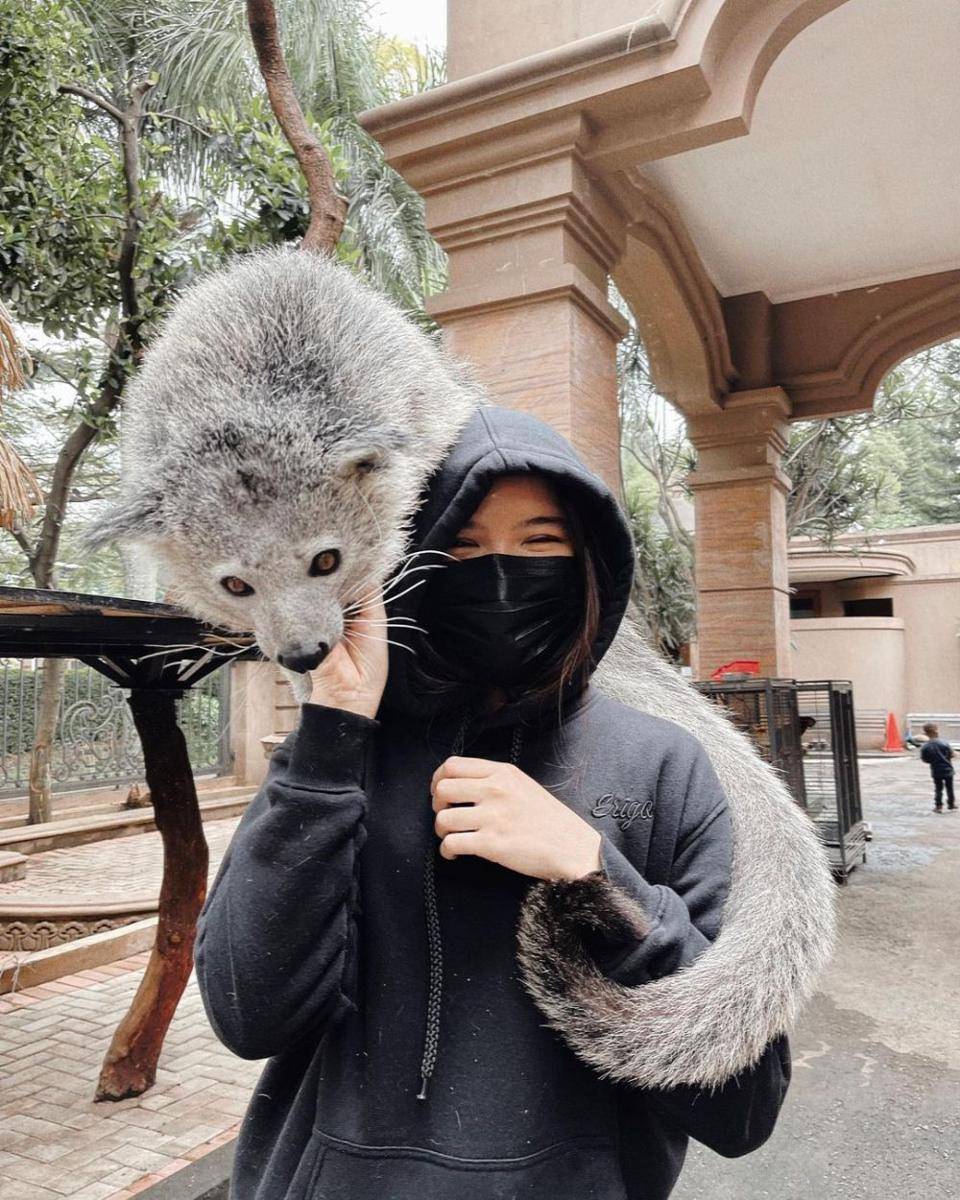 Tiara Andini mengunjungi kebun binatang mini Alshad Ahmad. (instagram.com/tiaraandini)