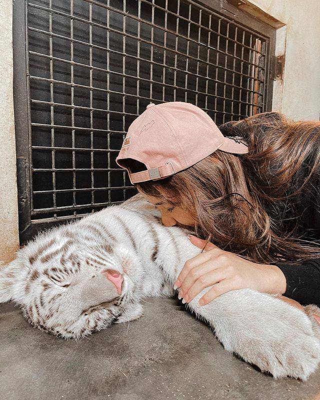 momen Tiara Andini di kebun binatang Alshad (instagram.com/tiaraandini)