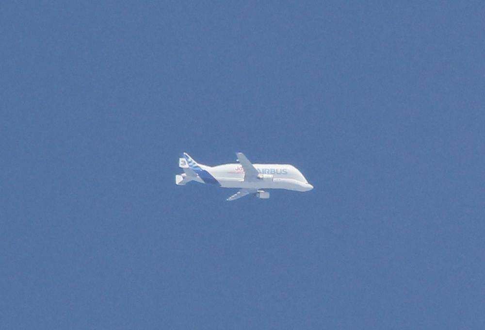 potret Airbus Beluga di udara dari jauh (commons.wikimedia.org/Russavia)