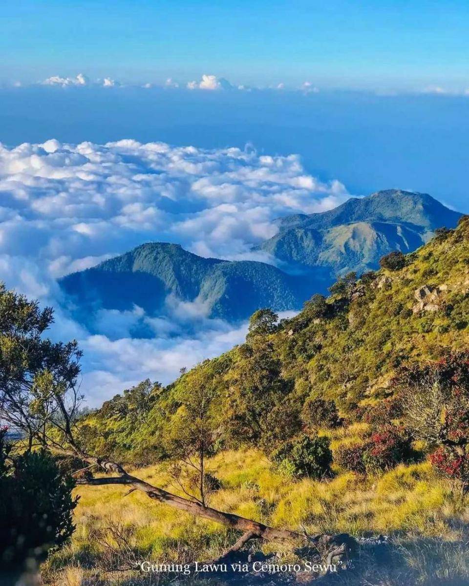 pesona gunung lawu (instagram.com/ferdie_uchiha)