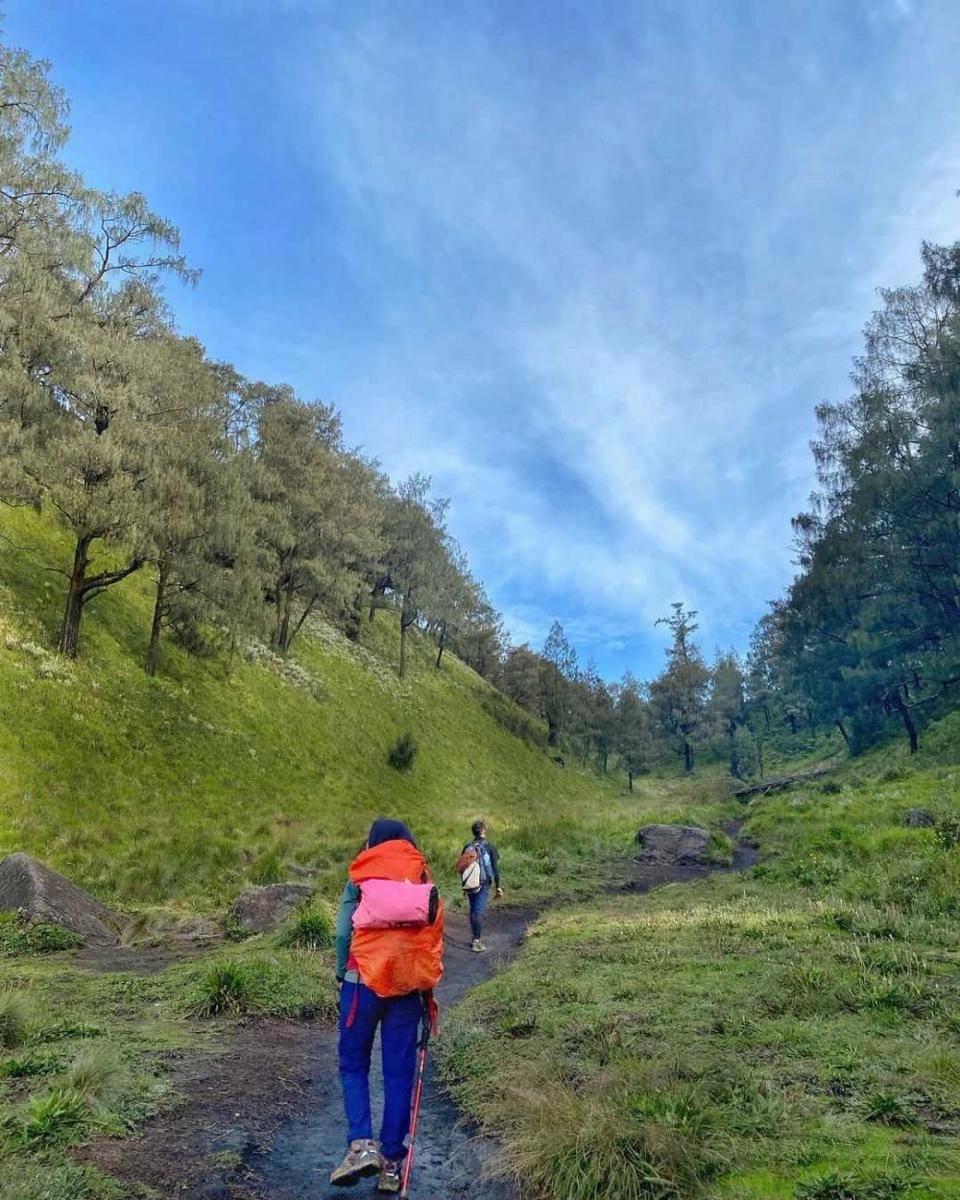 pesona gunung lawu (instagram.com/dewihindunm)