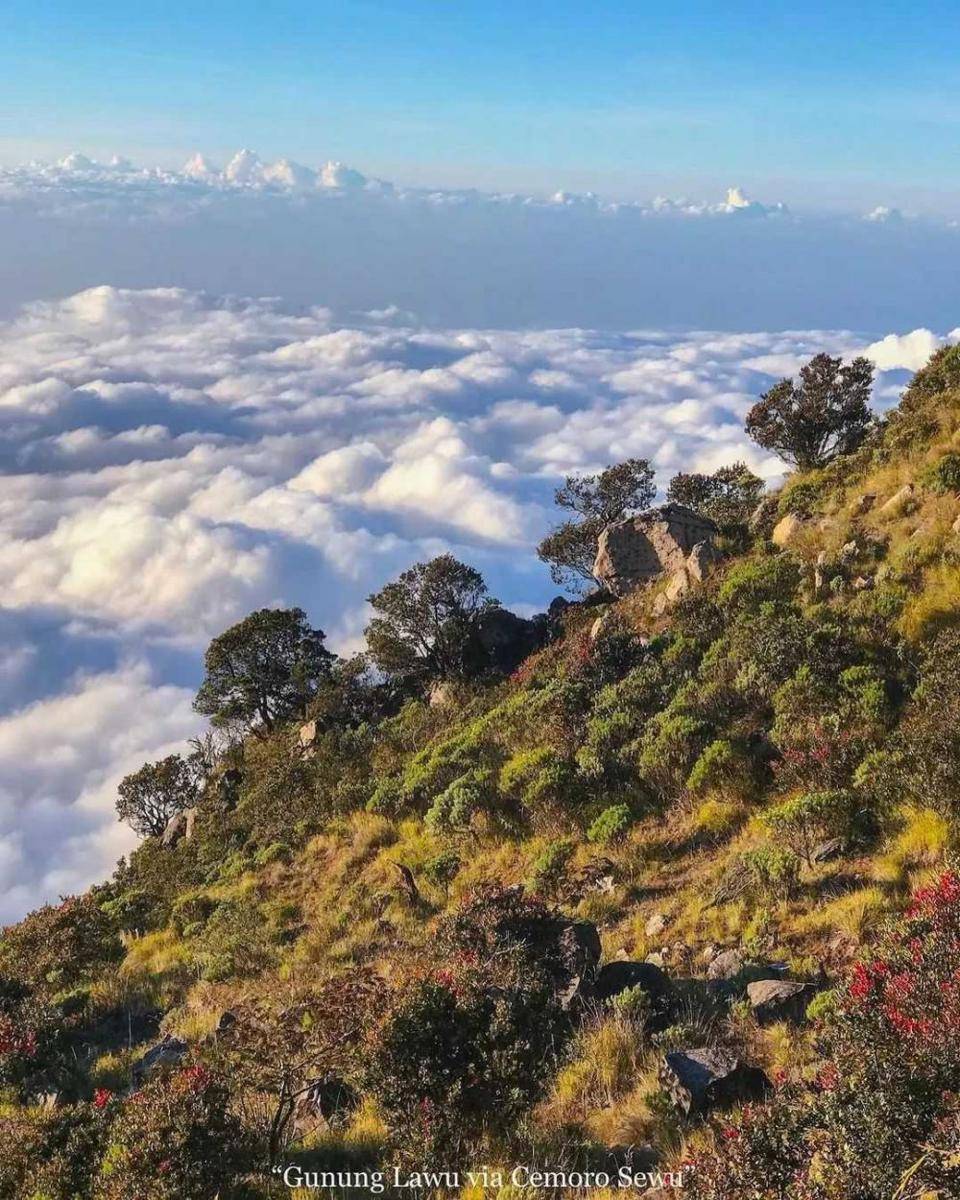 pesona gunung lawu (instagram.com/ferdie_uchiha)