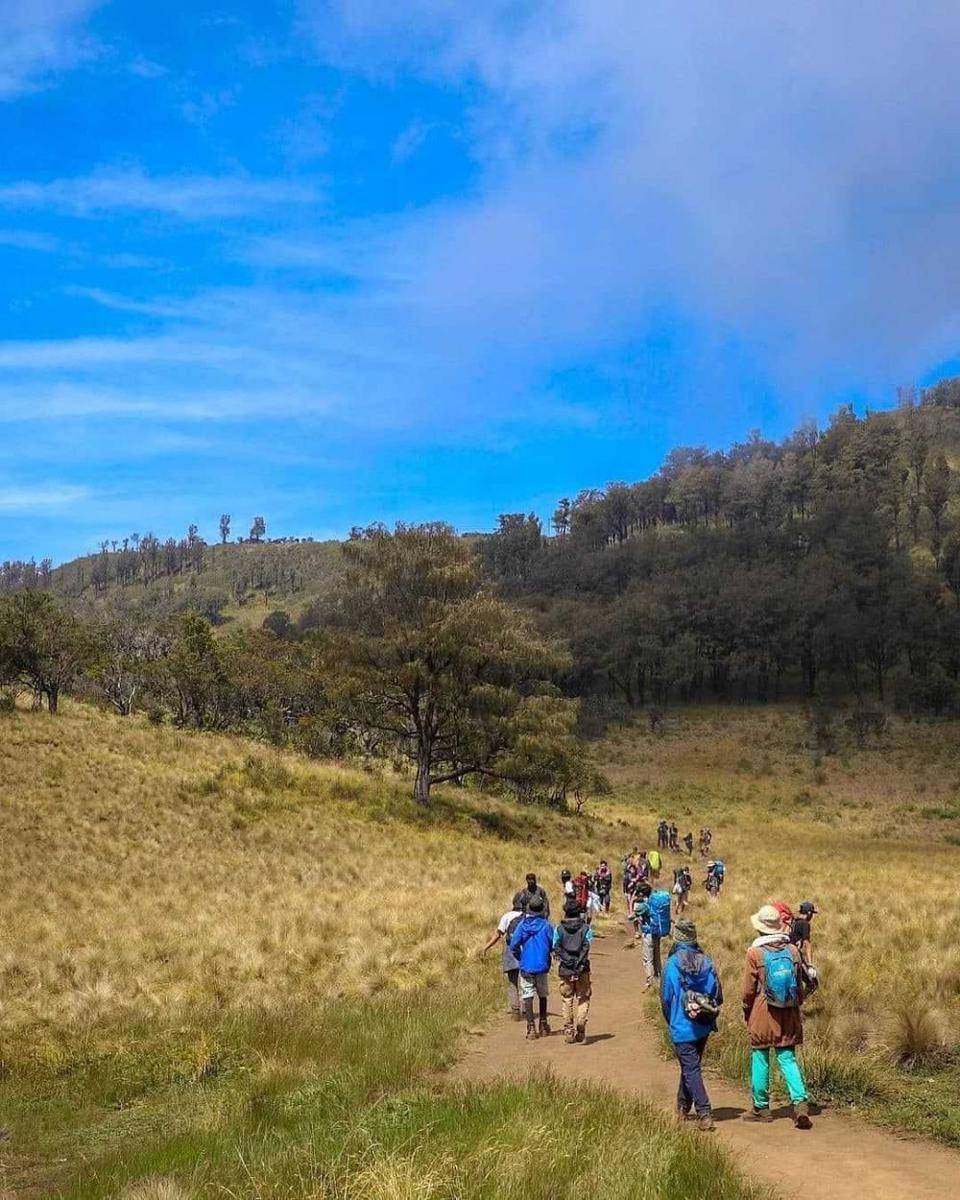 pesona gunung lawu (instagram.com/bang_harlen)
