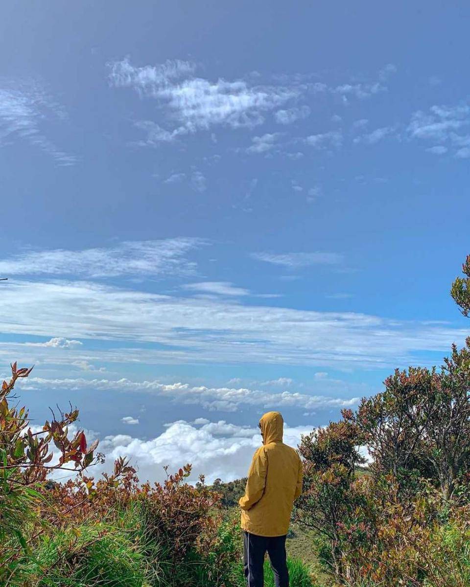 pesona gunung lawu (instagram.com/iqbalridhoo)