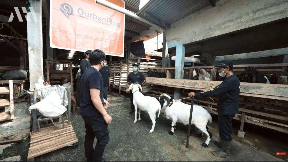 Atta Halilintar potong kambing 222kg (YouTube.com/AH)