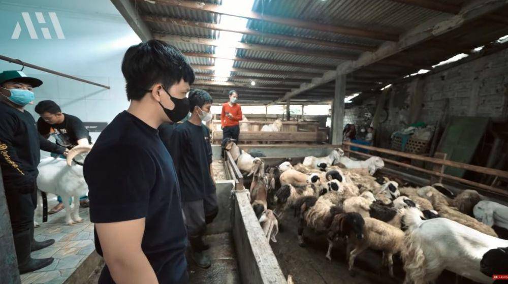 Atta Halilintar potong kambing 222kg (YouTube.com/AH)