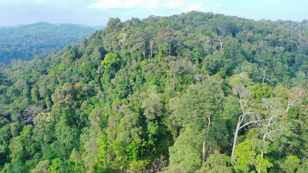 potret bukit soeharto (unsplash.com/@hidayatagung_)