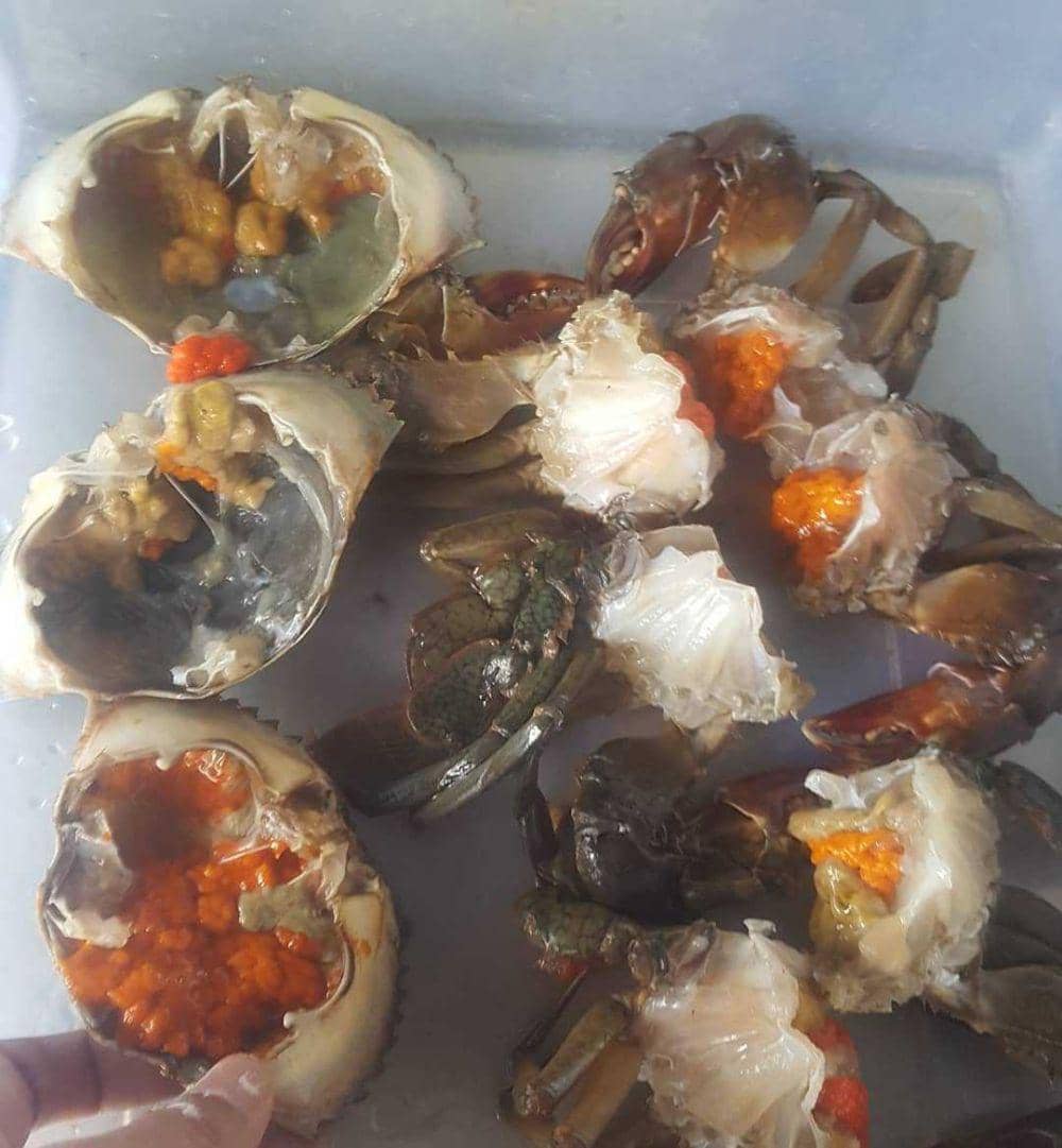 kepiting yang telah bersih (instagram.com/mr.lemakk)