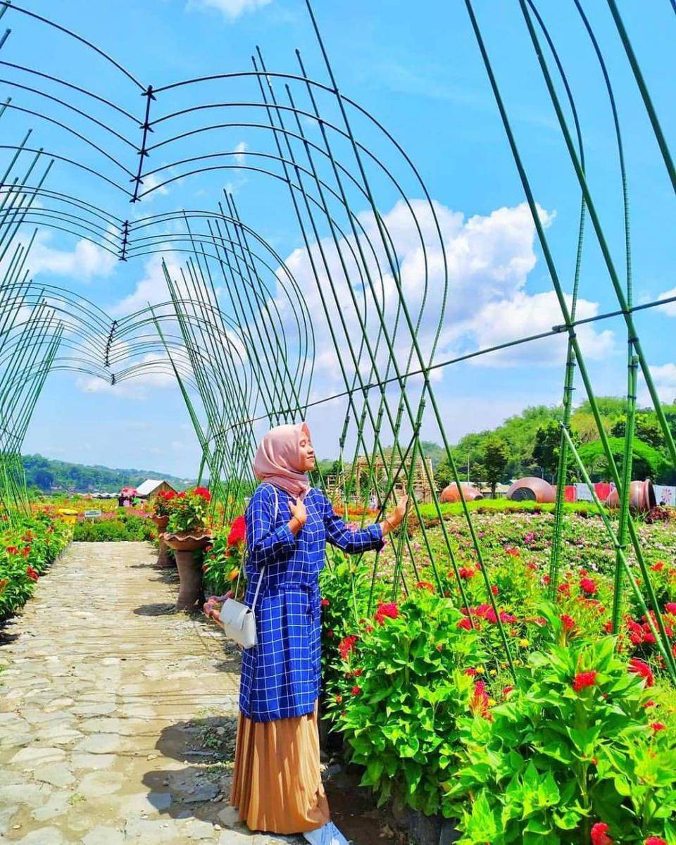 Kebun Bunga Refugia (instagram.com/kebunrefugiamagetan)