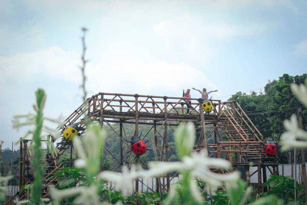 Kebun Bunga Refugia (instagram.com/kebunrefugiamagetan)