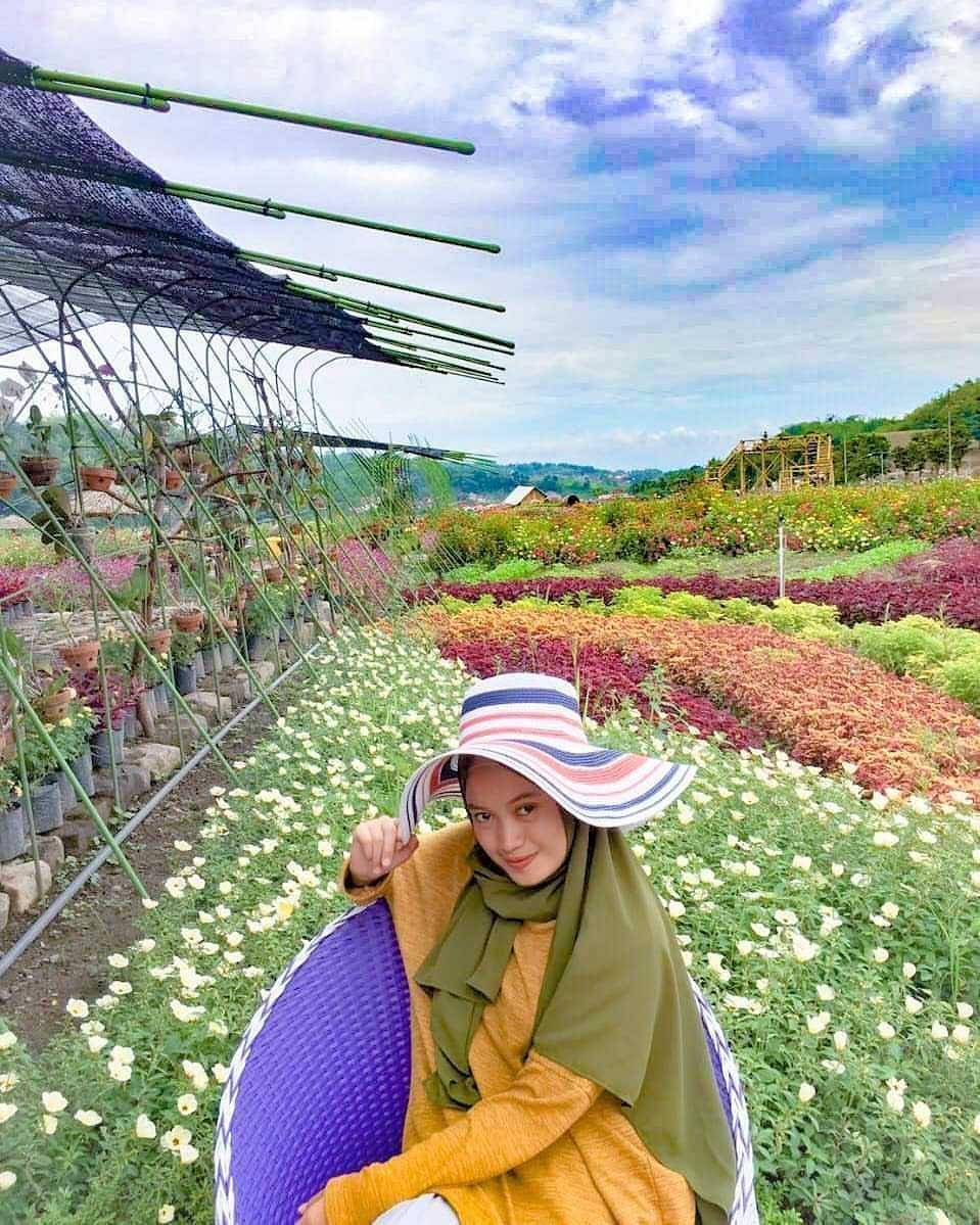 Kebun Bunga Refugia (instagram.com/kebunrefugia)