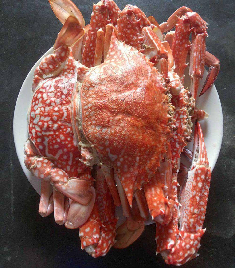 ilustrasi kepiting segar (meryandriani89)