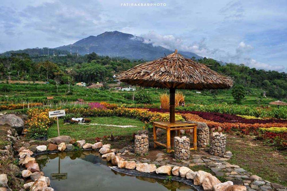 Kebun Bunga Refugia (instagram.com/kebunrefugiamagetan)