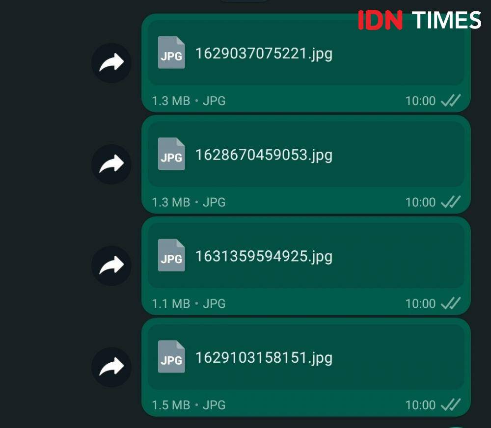 foto terkirim sebagai dokumen di WhatsApp (IDN Times/Alfonsus Adi Putra)