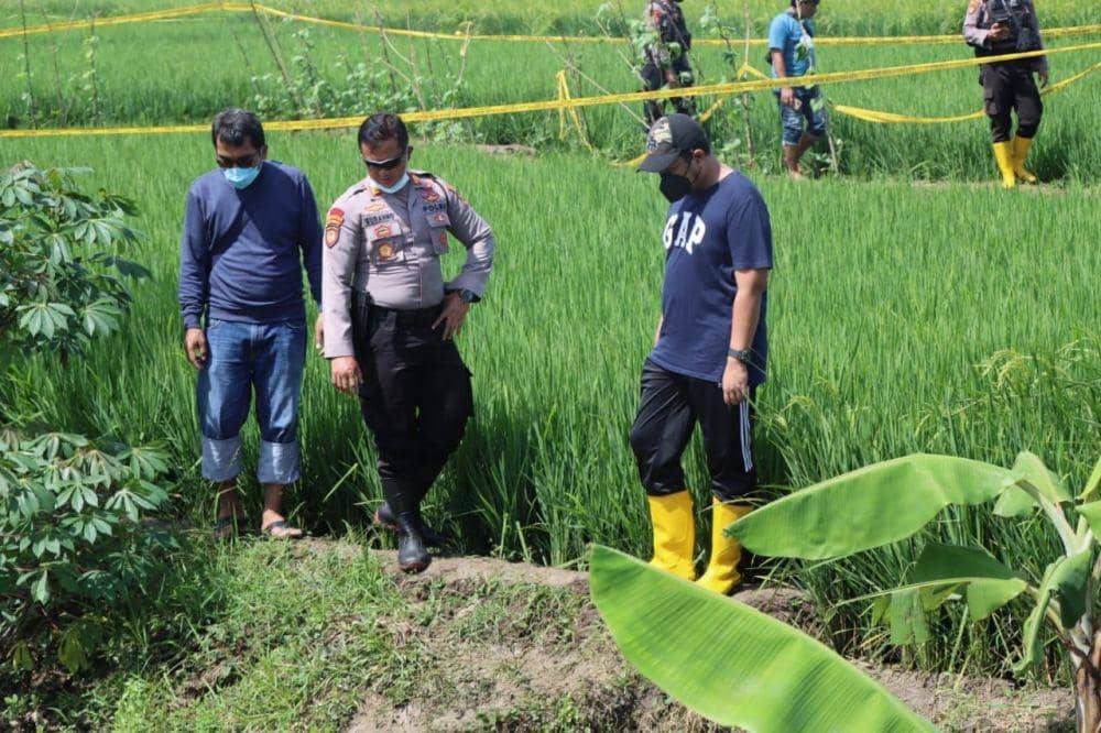 Cewek Tegal Tewas di Sawah, Vagina dan Payudara Hilang Dipotong