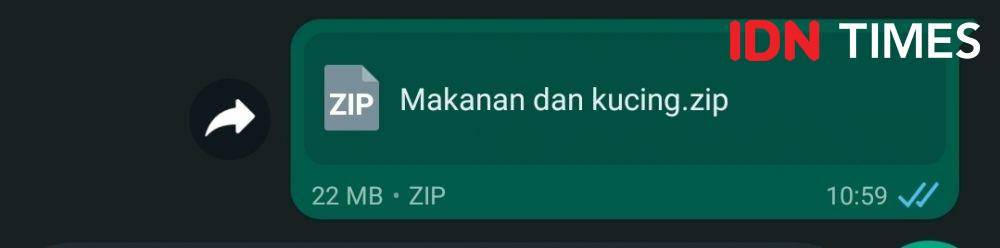file terkirim dalam bentuk zip di WhatsApp (IDN Times/Alfonsus Adi Putra)