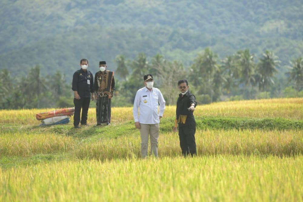 Miliki 5 Kelebihan, Mentan: Aceh Memiliki Potensi Swasembada Pangan