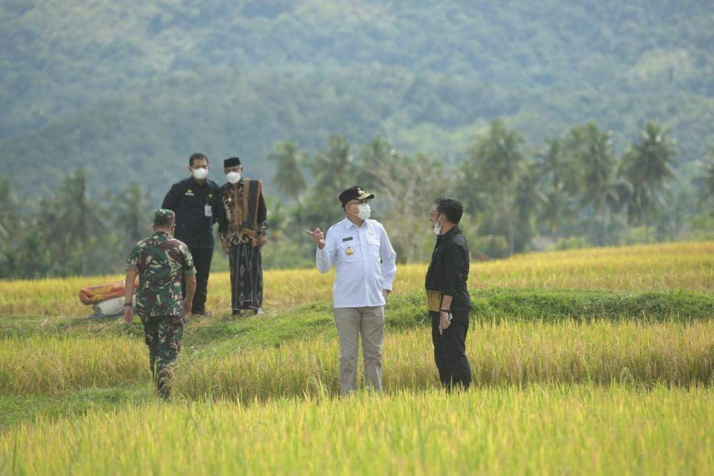 Menteri Pertanian (Mentan) Republik Indonesia (RI), Syahrul Yasin Limpo, saat melakukan kunjungan kerja ke Aceh. (Dokumentasi Humas Pemprov Aceh untuk IDN Times)