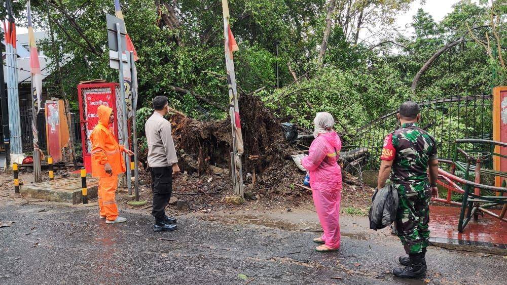 Pohon tumbang yang berada di Taman Lembah Gurame, Kelurahan Depok Jaya, Kecamatan Pancoran Mas, Kota Depok. (Istimewa)