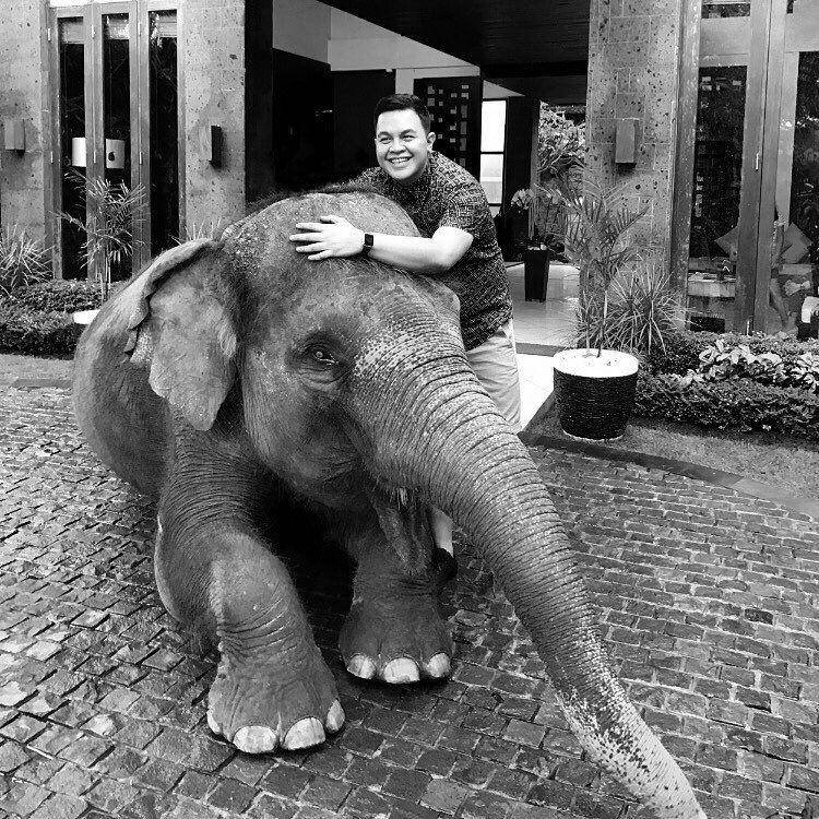 Potret Tulus bersama seekor gajah bernama Moli (instagram.com/tulusm)