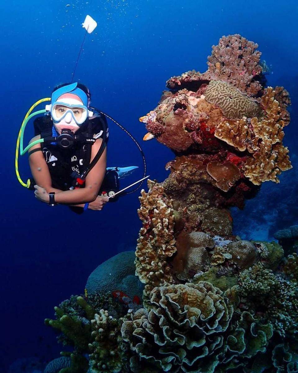 spot diving Bunaken (instagram.com/patricialeeanwijaya)