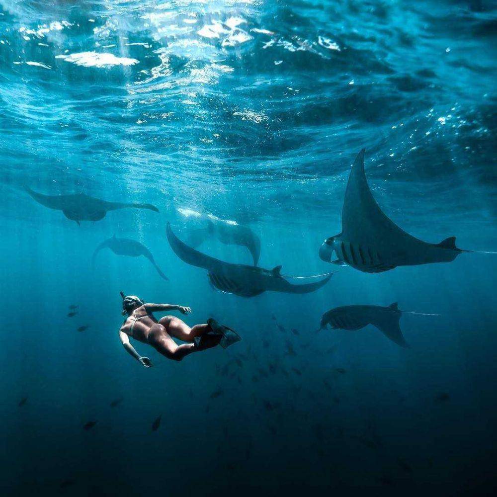 Manta Point (instagram.com/thebalibible)