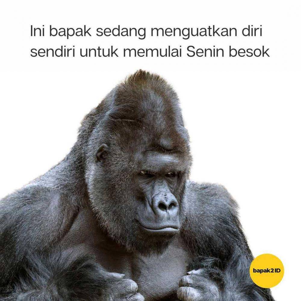 ekspresi ala bapak2id (instagram.com/bapak2id)