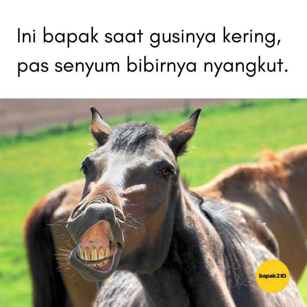 ekspresi ala bapak2id (instagram.com/bapak2id)
