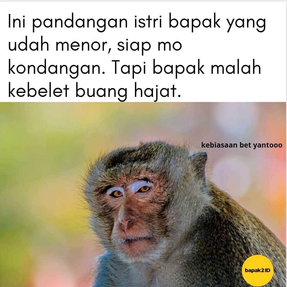 ekspresi ala bapak2id (instagram.com/bapak2id)