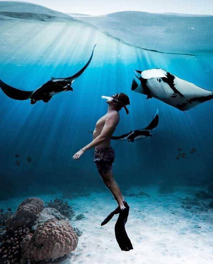 Manta Point (instagram.com/nowbalimag)