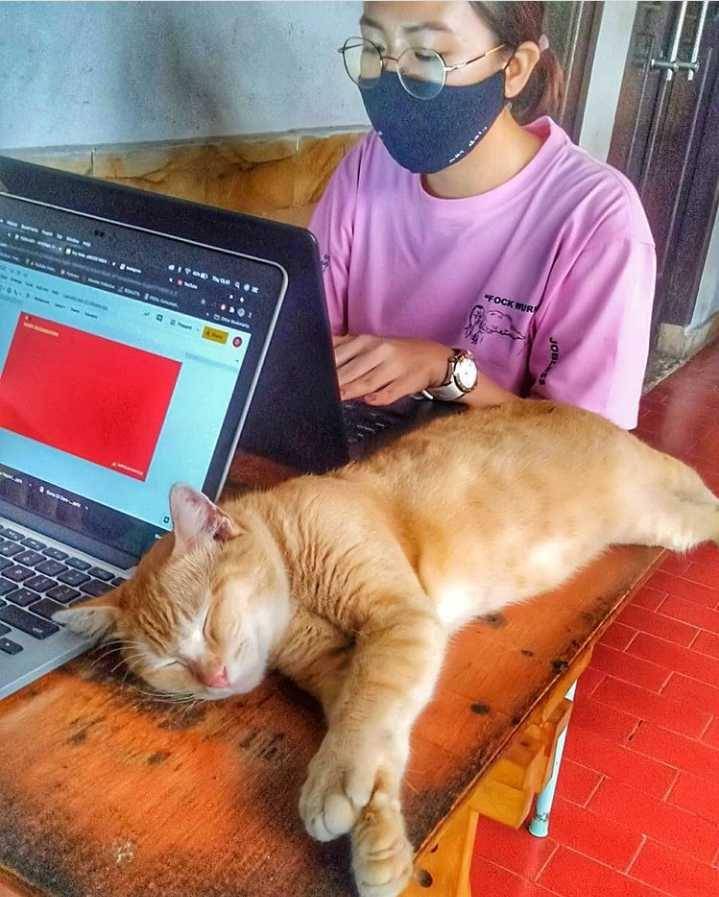 potret Pejaten Huis Coffee (instagram.com/pejatenhuiscoffee)