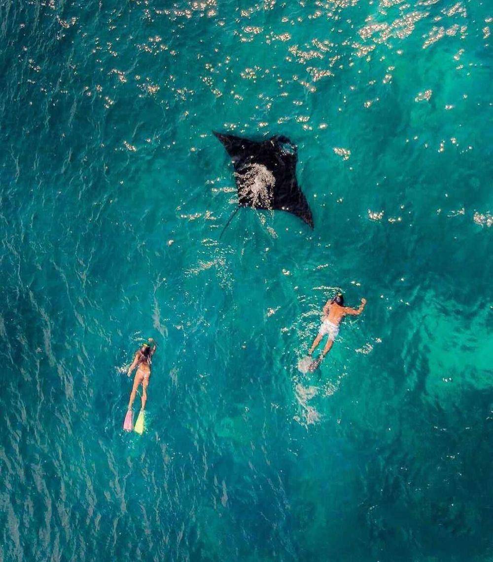 Manta Point (instagram.com/sailtigerblue)