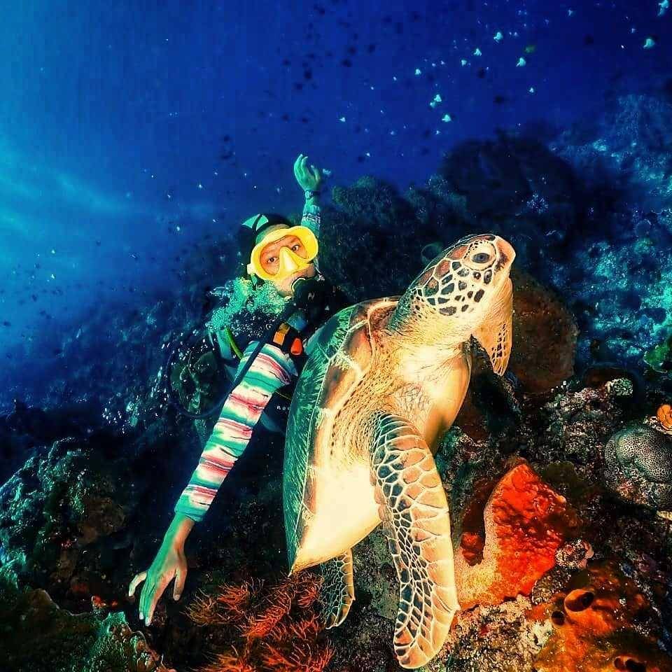 spesies langka bunaken (instagram.com/shintasaloewa)