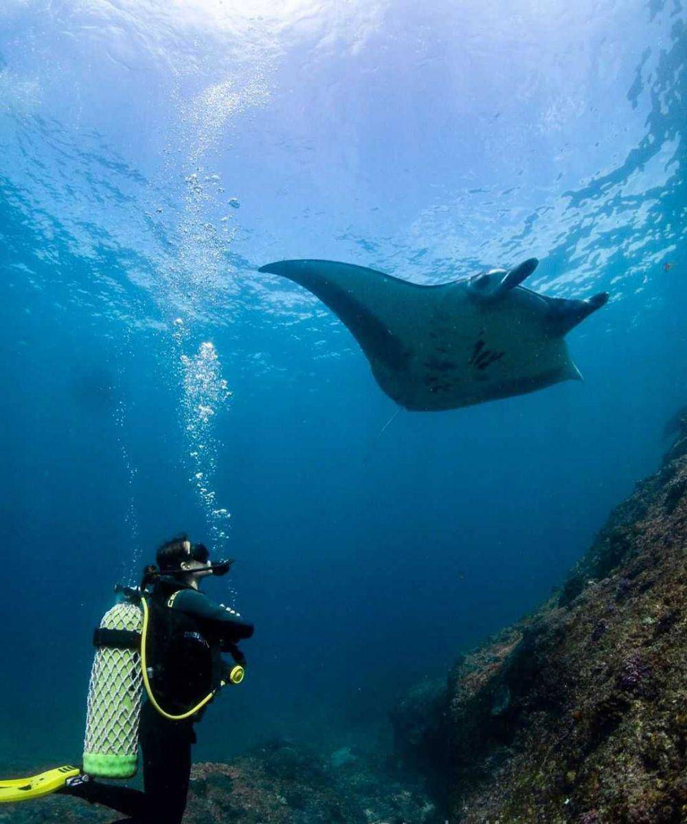 Manta Point (instagram.com/indodivephotos)