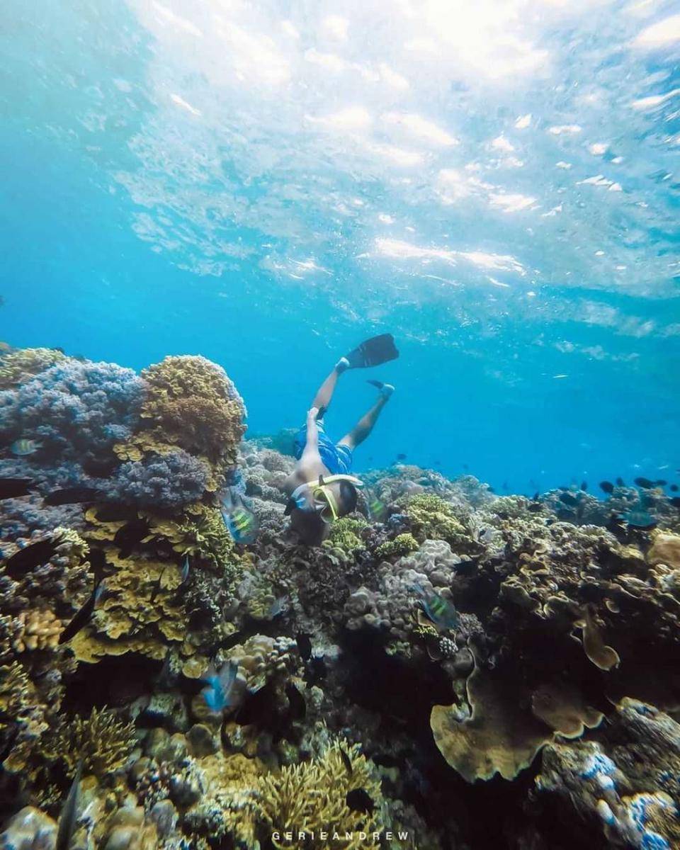 spot diving Bunaken (instagram.com/travelwithgerie)