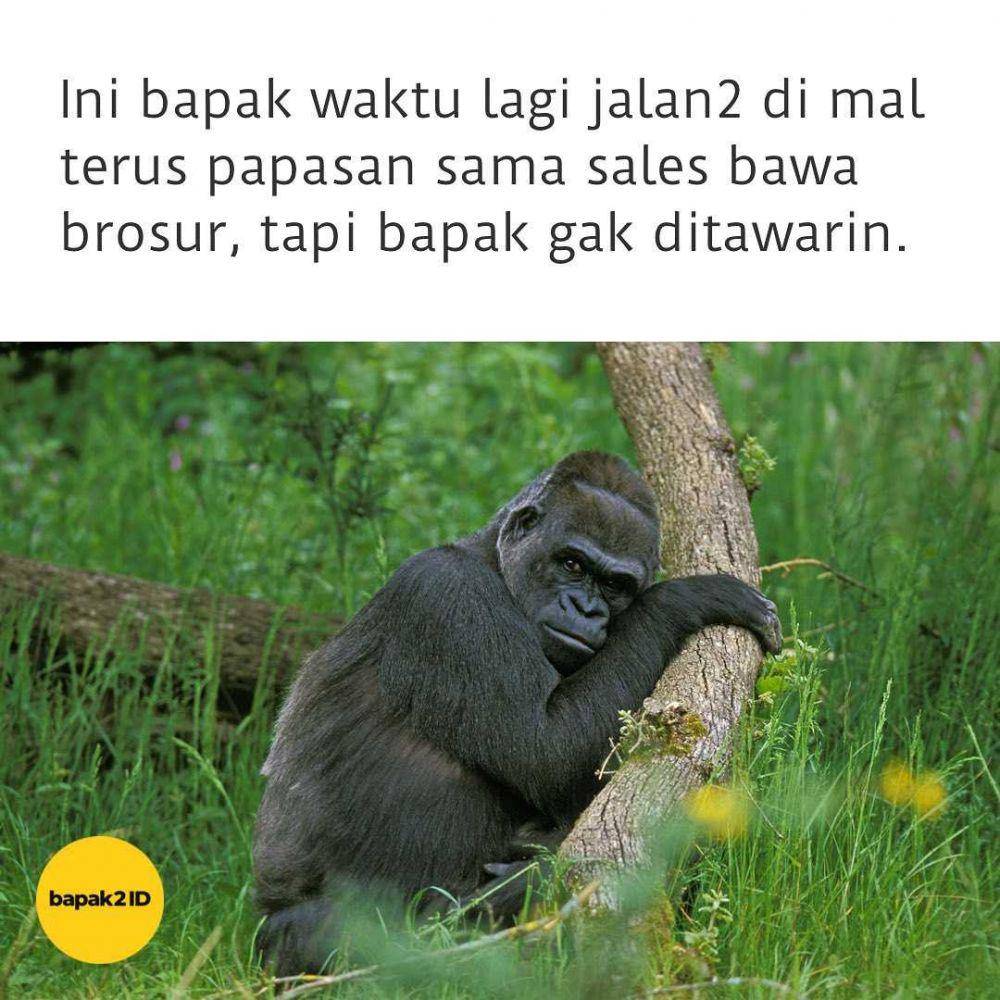ekspresi ala bapak2id (instagram.com/bapak2id)