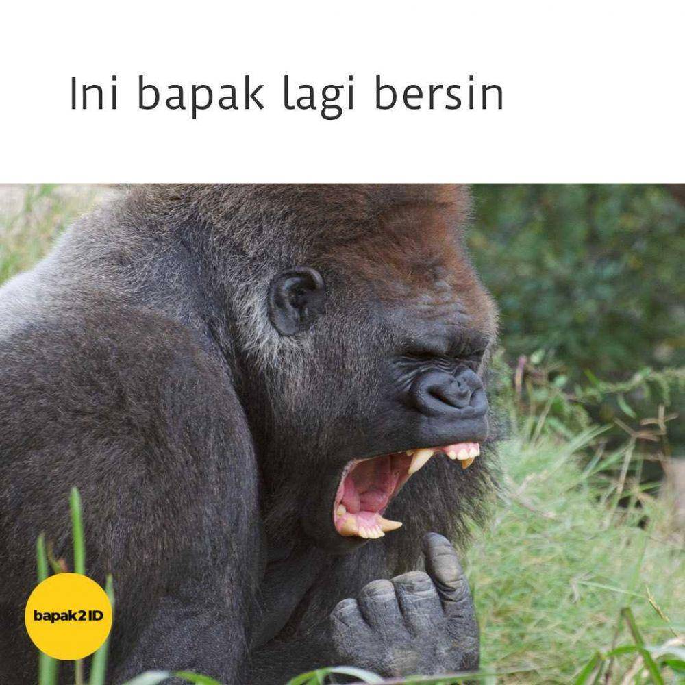 ekspresi ala bapak2id (instagram.com/bapak2id)