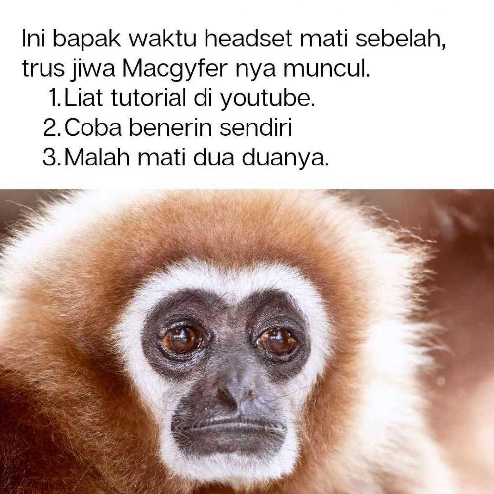 ekspresi ala bapak2id (instagram.com/bapak2id)