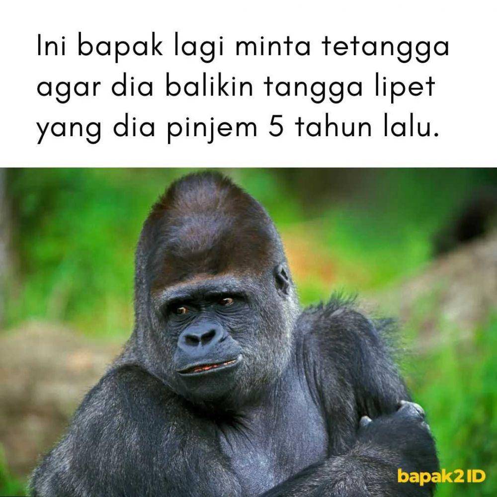ekspresi ala bapak2id (instagram.com/bapak2id)