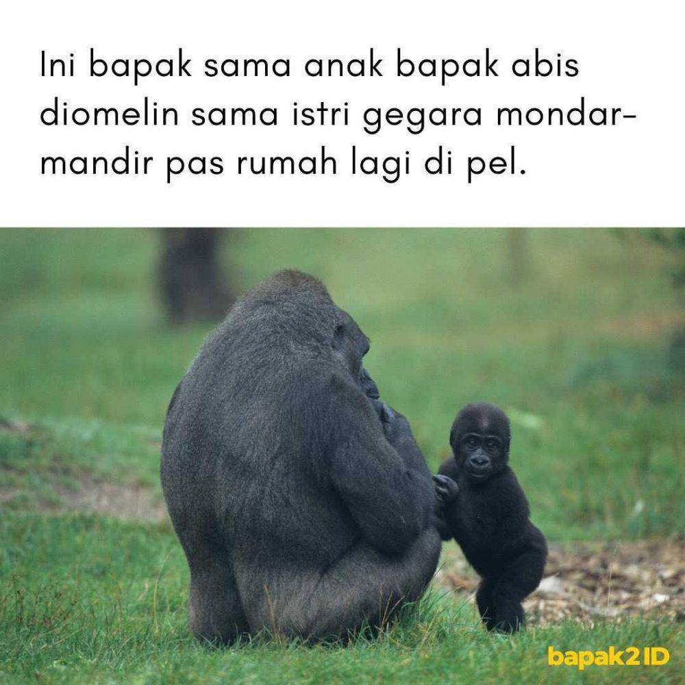 ekspresi ala bapak2id (instagram.com/bapak2id)
