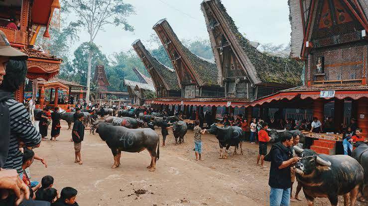 potret upacara pemakaman Rambu Solo (instagram.com/irfaanrf/)