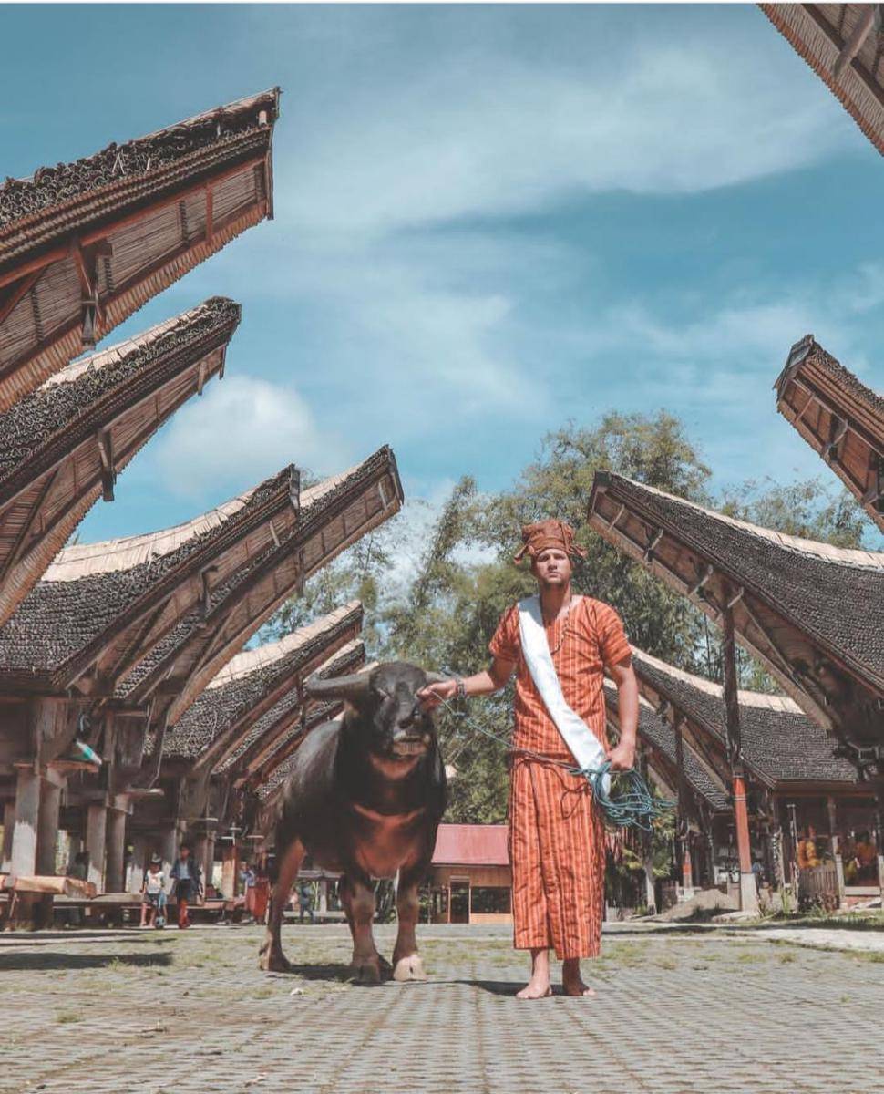 potret Rumah Tongkonan (Instagram.com/stuartcollin)