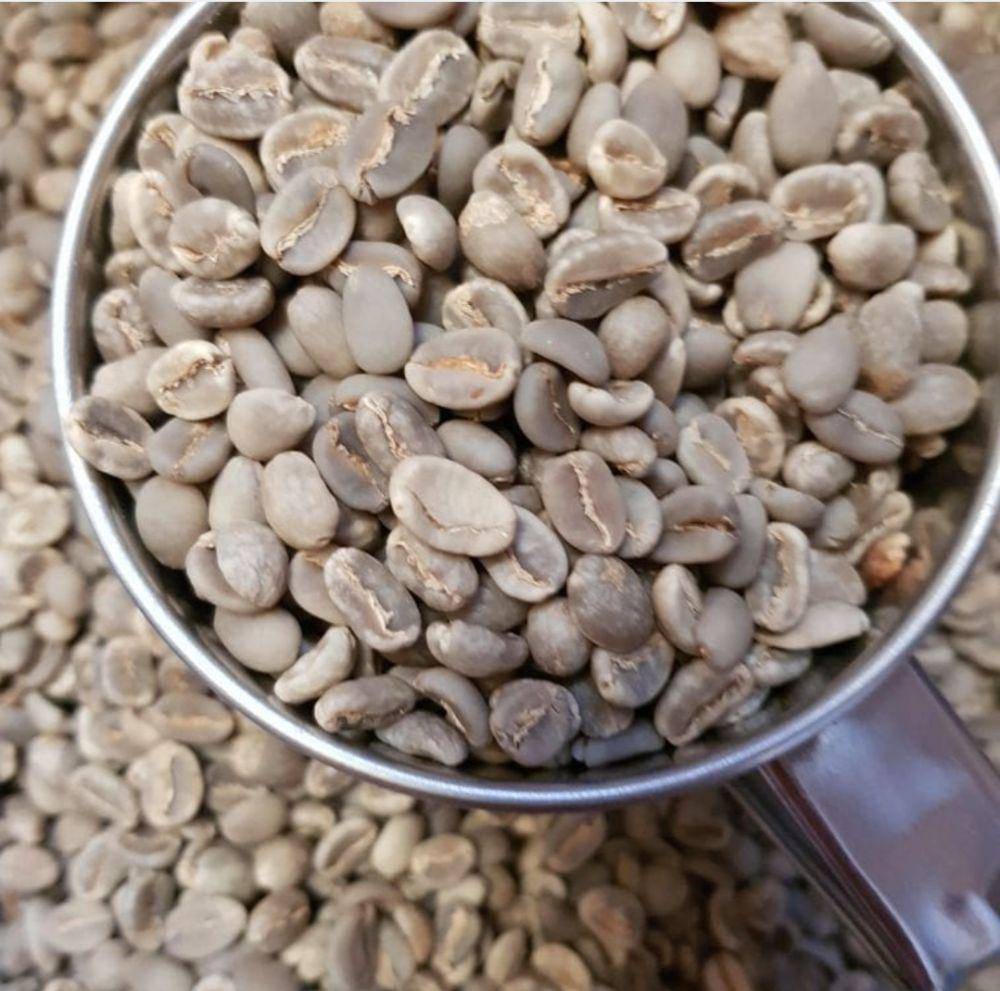potret Kopi Toraja (Instagram.com/torajakoffie)