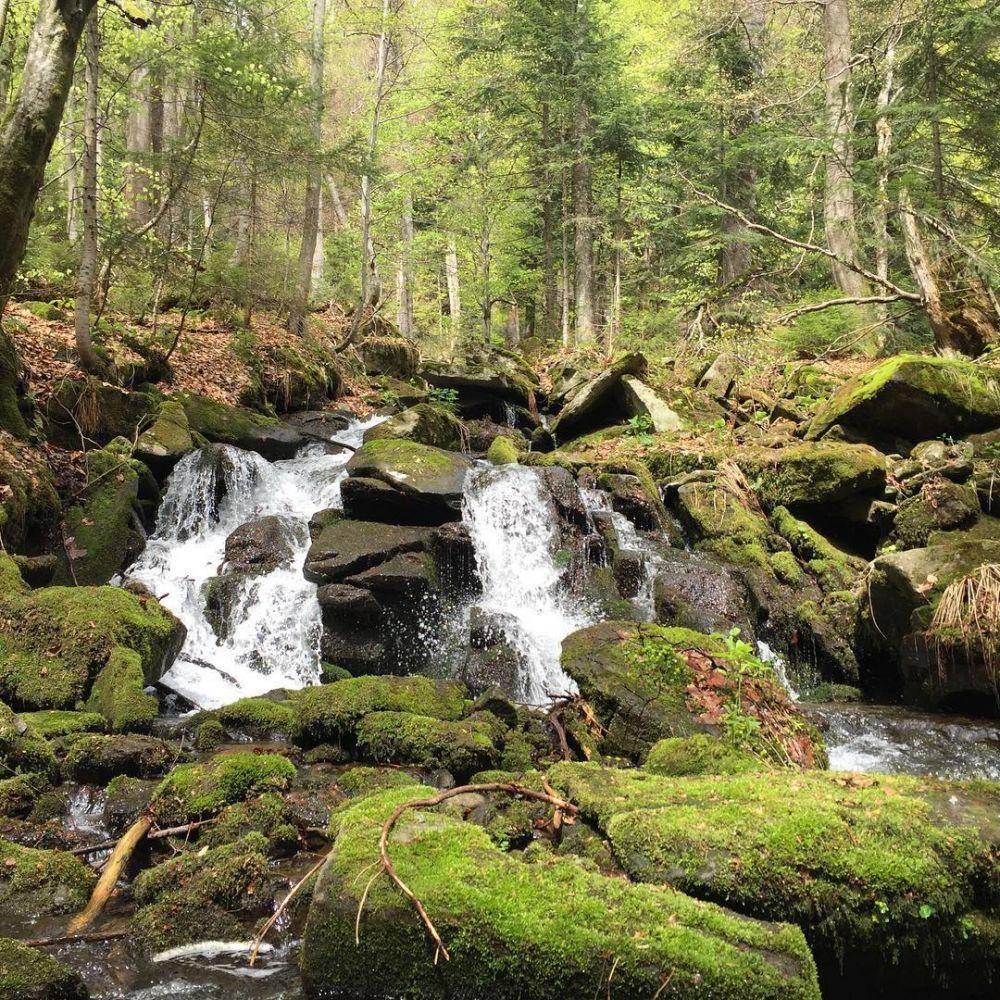 Voievodyn Waterfall (instagram.com/makabuka)