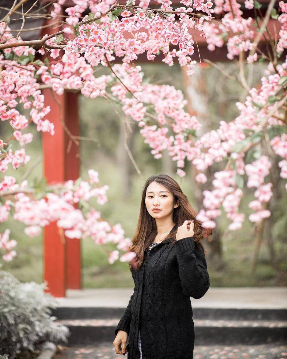 Sakura Hills (instagram.com/hendryyadhisna)