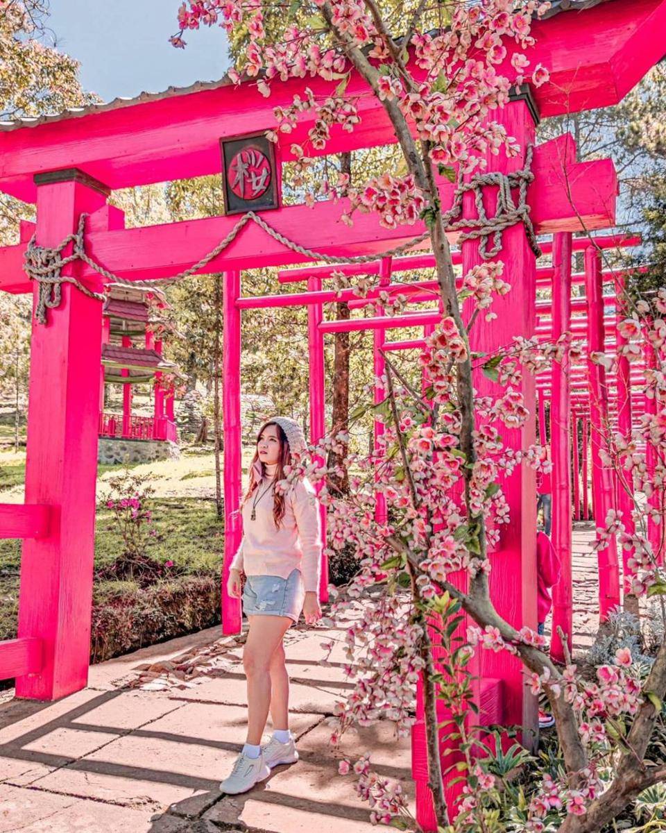 Sakura Hills (instagram.com/ angelayenny1986)