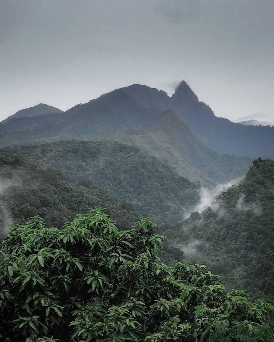 Gunung Anjarmoro Wonosalam (instagram.com/pariwisata_wonosalam)