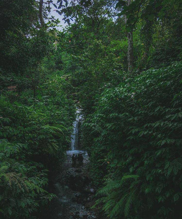 Air Terjun Batu Janggot (instagram.com/onos.lampak)