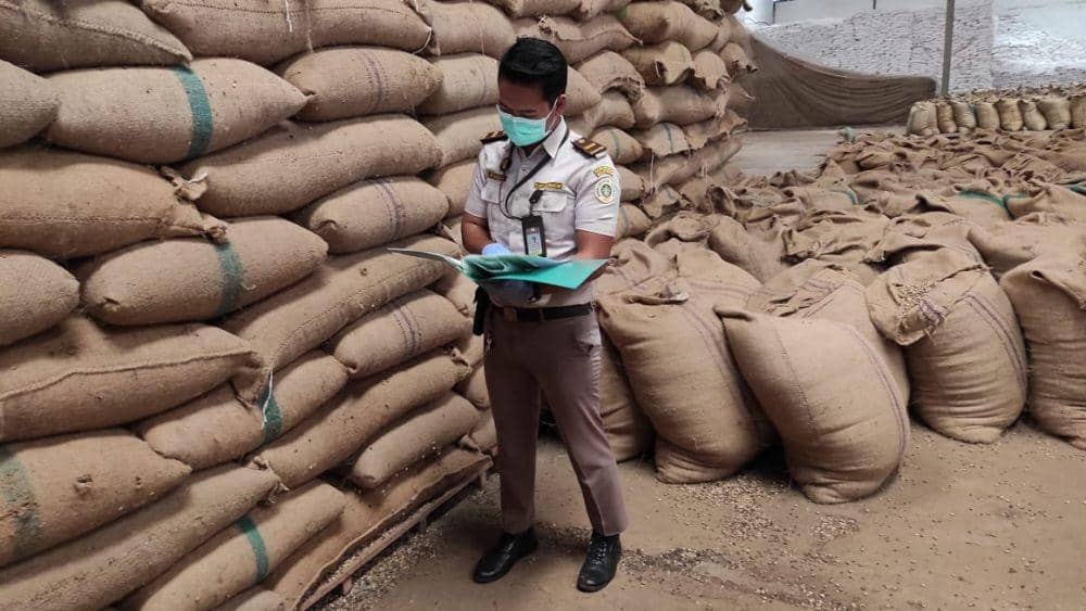 Sejumlah komoditas pertanian asal Provinsi Lampung harus dikembalikan dari negara tujuan, ditengarai lantaran dianggap tidak memenuhi persyaratan ekspor. (IDN Times/Istimewa)