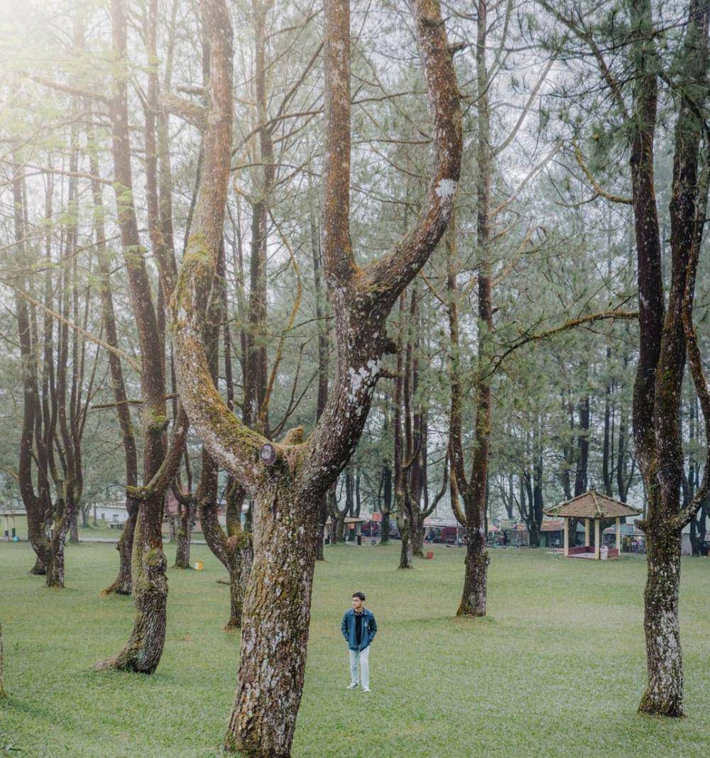 Goa Lawa (instagram.com/toifhidayat_)